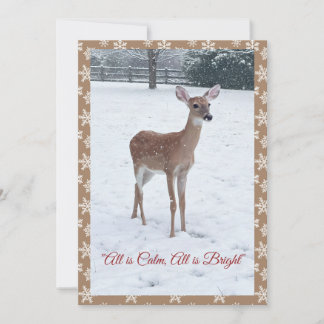 Winter Wildlife Fawn Snow Scene  Holiday Card