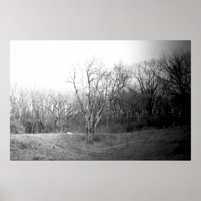 Winter Wind Poster (Front)