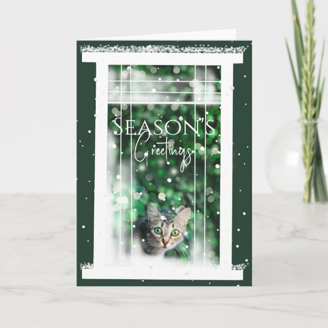Winter Window with a Cute Cat Christmas Card (Front)