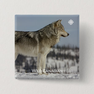 Winter - Wolf 15 Cm Square Badge