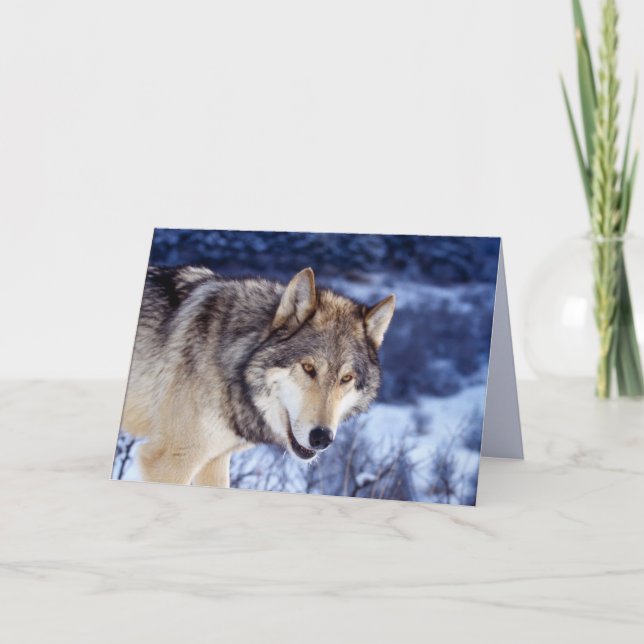 Winter Wolf 2 Card (Front)