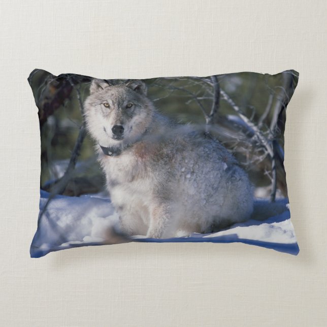 Winter Wolf Decorative Cushion (Front)