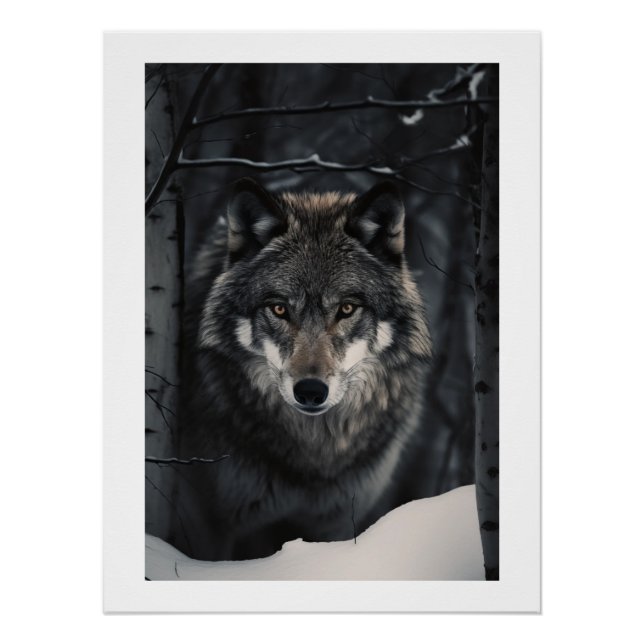 Winter Wolf Gaze Poster (Front)