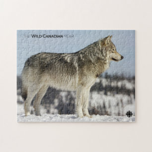 Winter - Wolf Jigsaw Puzzle