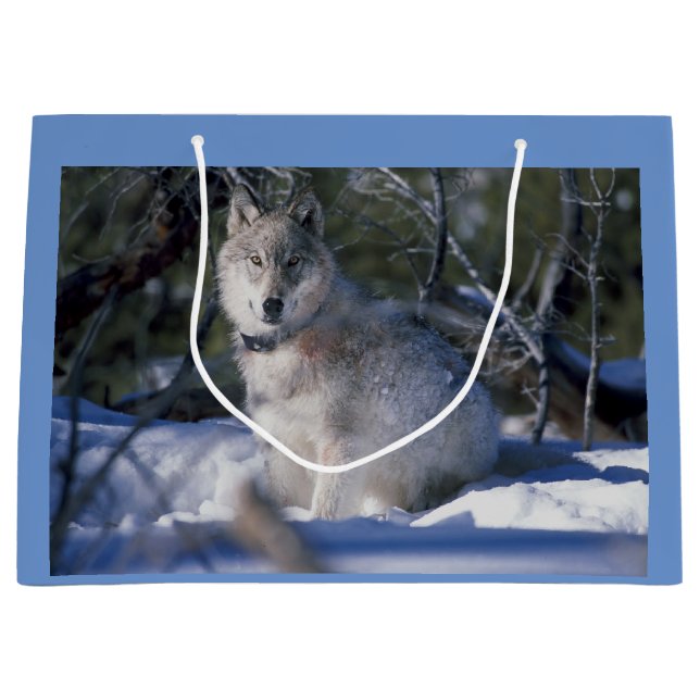 Winter Wolf Large Gift Bag (Front)