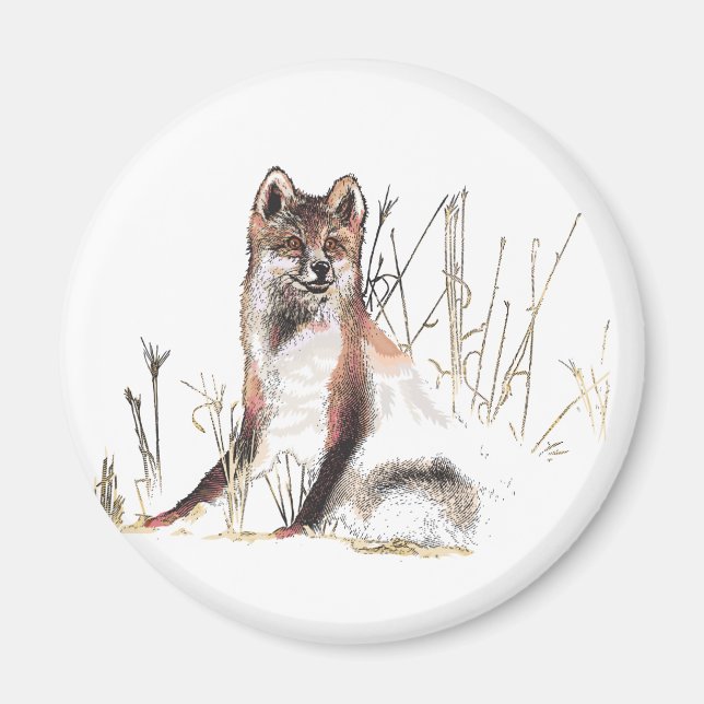 Winter Wolf Magnet (Front)