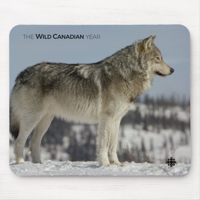Winter - Wolf Mouse Pad (Front)