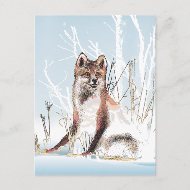 Winter Wolf Postcard (Front)