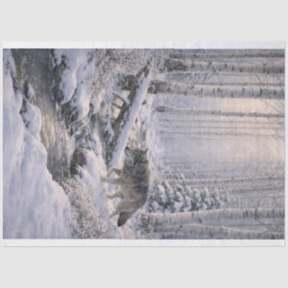 Winter Wolf Tissue Paper