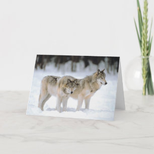 Winter Wolves Snow Xmas Holiday Christmas Blank Card
