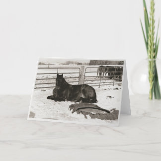 Winter Wonder Holiday Card