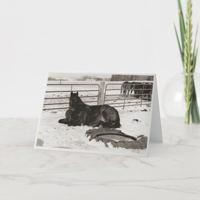 Winter Wonder Holiday Card (Front)