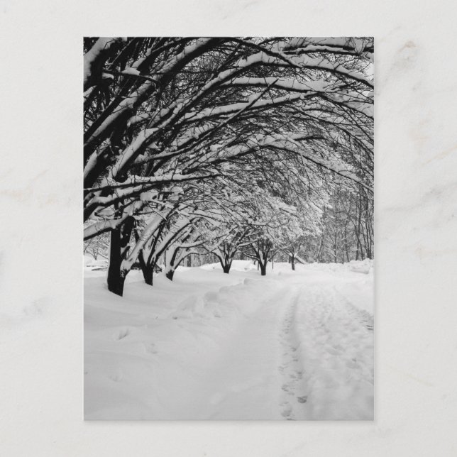 WINTER WONDER POSTCARD (Front)