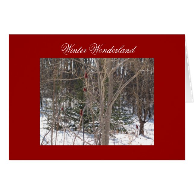 Winter Wonderland (Front Horizontal)