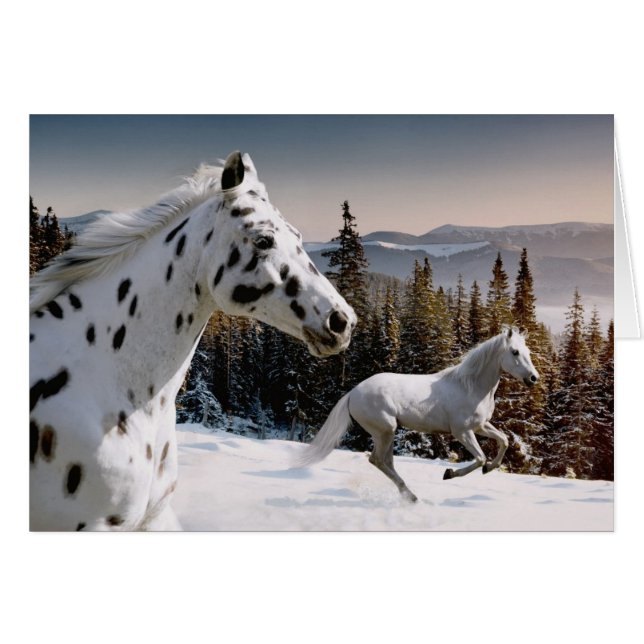 Winter Wonderland (Front Horizontal)