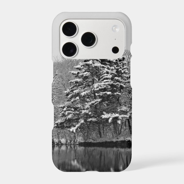 Winter Wonderland  (Back)