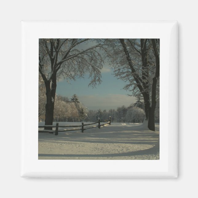 winter wonderland 1 magnet (Front)