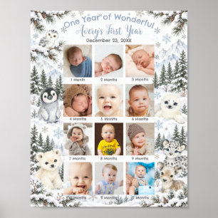 Winter Wonderland Arctic Animals First Year Photo  Poster