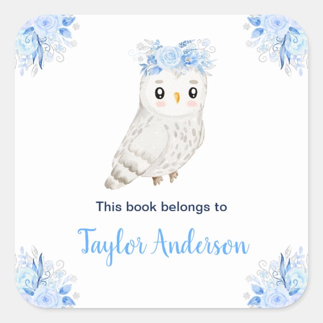 Winter Wonderland Arctic Owl Kids Bookplate Square Sticker (Front)