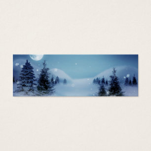 Winter Wonderland at Night