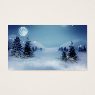 Winter Wonderland at Night