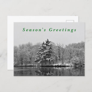 Winter Wonderland Black & White Snow Photography Holiday Postcard