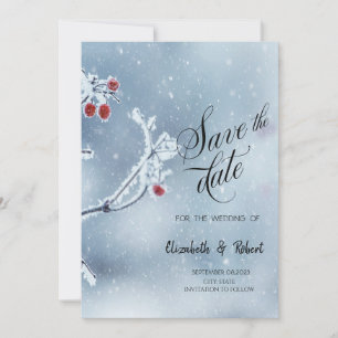 Winter Wonderland Branches Blue Save The Date