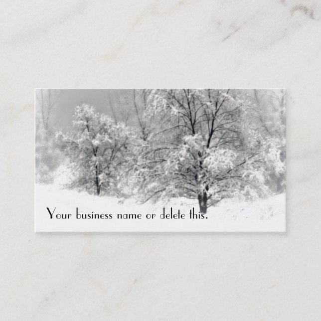 Winter Wonderland Business Card (Front)