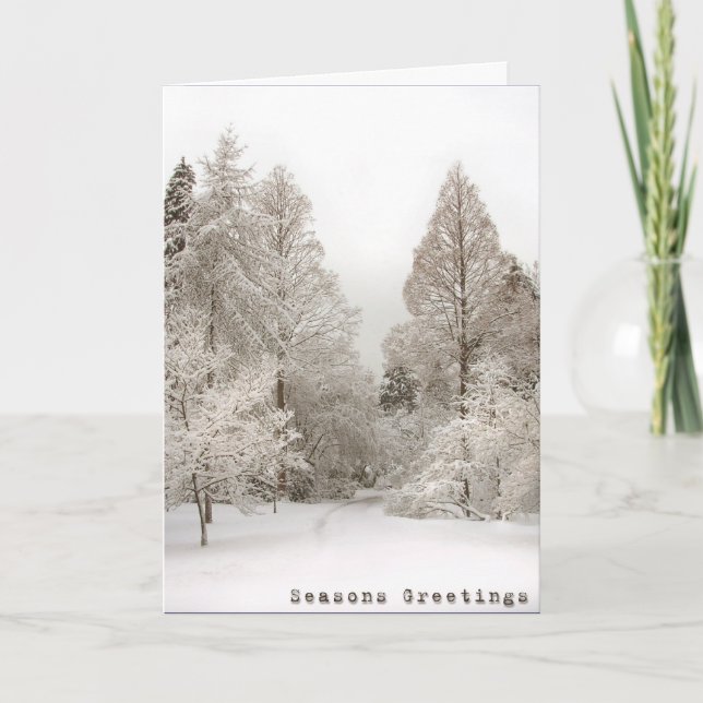 Winter Wonderland Cards Seasons Greetings Cards (Front)