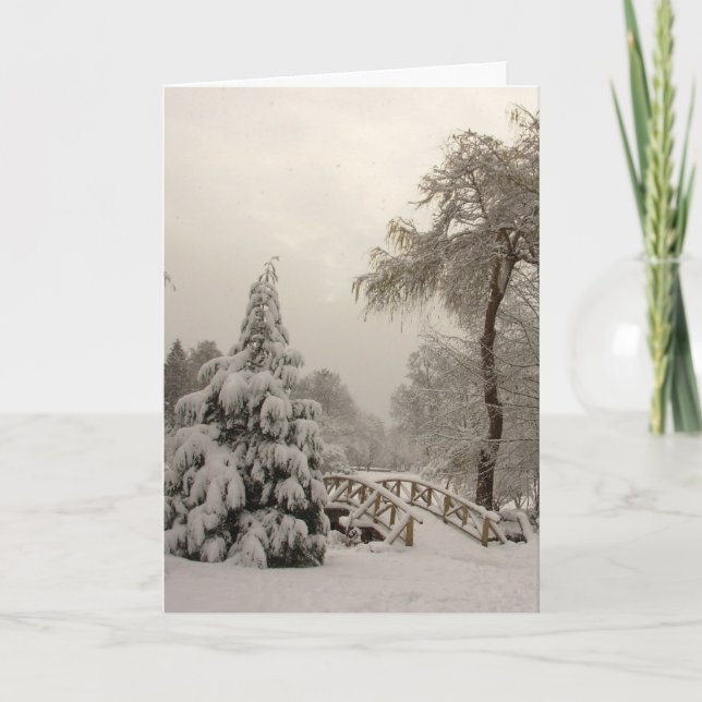 Winter Wonderland Cards Seasons Greetings Cards (Front)
