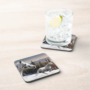 Winter Wonderland Coaster