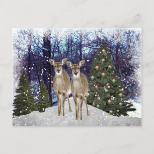 Winter Wonderland Deer and Christmas Tree Postcard