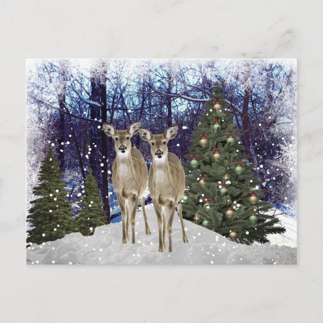 Winter Wonderland Deer and Christmas Tree Postcard (Front)