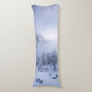 Winter wonderland, fog, spruce forest and mountain body cushion