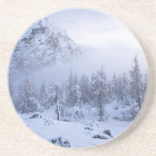 Winter wonderland, fog, spruce forest and mountain coaster