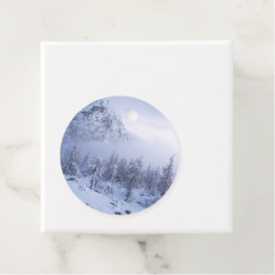 Winter wonderland, fog, spruce forest and mountain favour tags