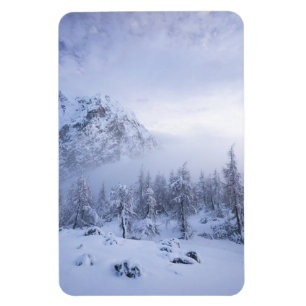 Winter wonderland, fog, spruce forest and mountain magnet