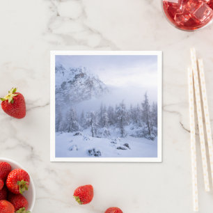 Winter wonderland, fog, spruce forest and mountain napkin