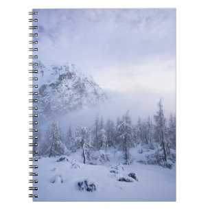 Winter wonderland, fog, spruce forest and mountain notebook