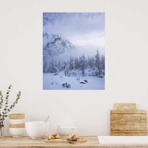 Winter wonderland, fog, spruce forest and mountain poster