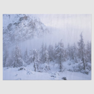 Winter wonderland, fog, spruce forest and mountain tissue paper