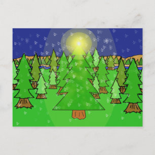 Winter Wonderland Forest Postcard