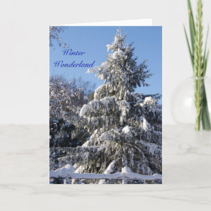Winter Wonderland Holiday Card