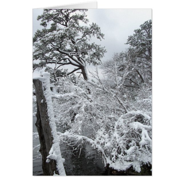 Winter Wonderland II (Front)