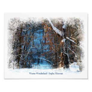 Winter Wonderland in Joplin Missouri Photo Print