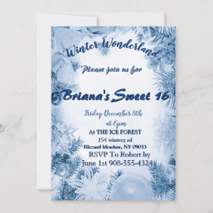 Winter Wonderland Invitations