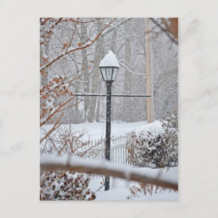 Winter Wonderland - Lamp Post Postcard