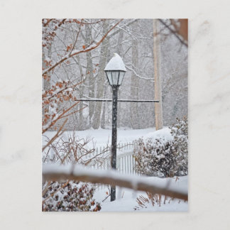 Winter Wonderland - Lamp Post Postcard