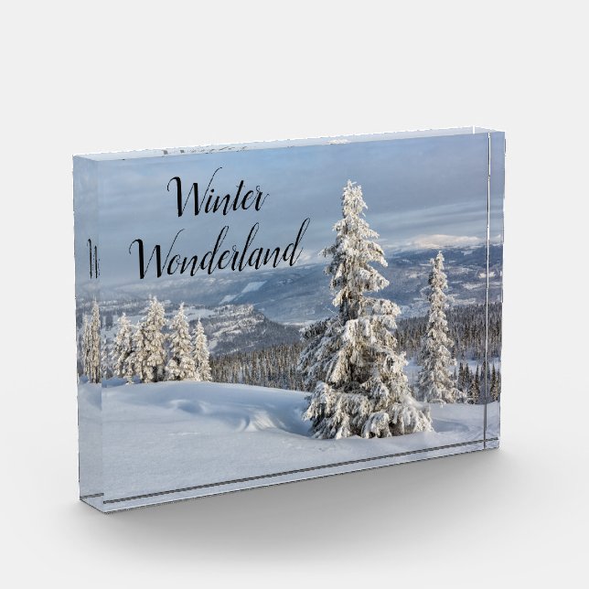 Winter Wonderland light grey snow photo (Left)