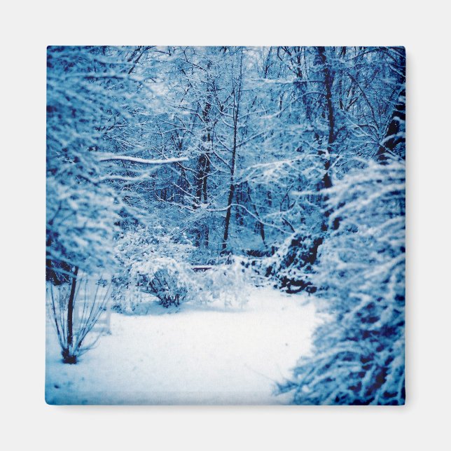 Winter Wonderland Magnet (Front)